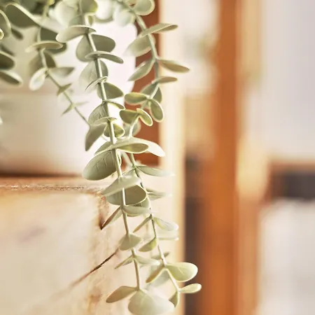 Lägenhet Dom Vi - Domplatz