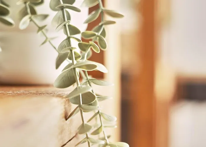 Apartment Dom Vi - Domplatz